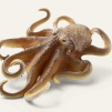 Schleich Sea Animals