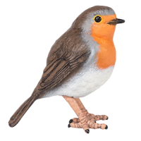 Robin